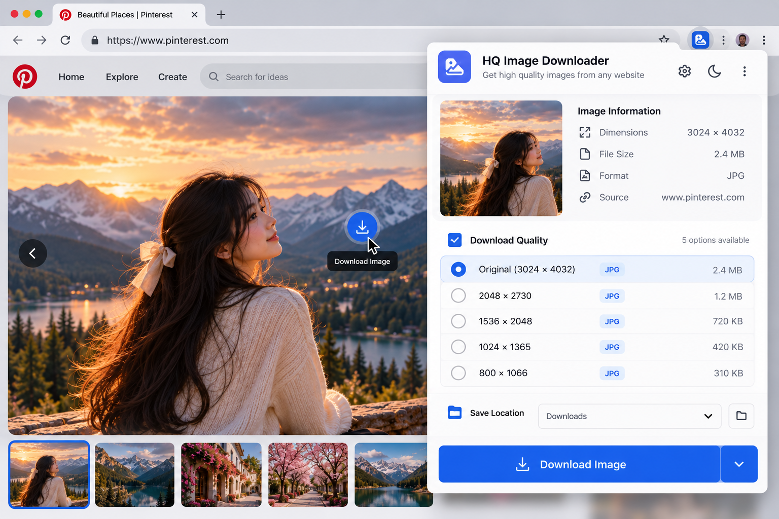 HQ Image Downloader: saved images